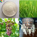 Plant Growth Regulator Seradix IBA 99%TC Rooting Hormone Powder in Agriculture